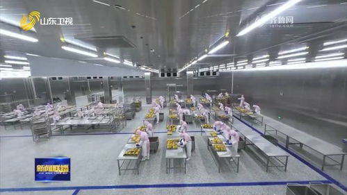 聊城烤鴨 首飛 歐洲 特色農產品國際 朋友圈 不斷擴大