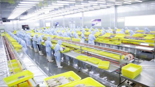 拼多多 商家權益保護委員會 推出惠商新舉措,新質供給助外貿工廠成功轉內銷