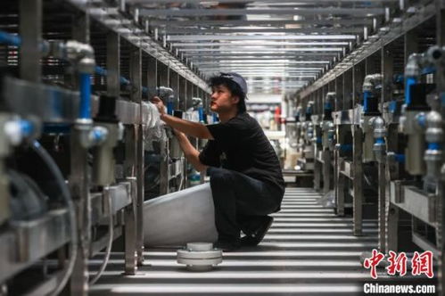 江西贛州 以工業(yè)為抓手 推動(dòng)革命老區(qū)高質(zhì)量發(fā)展