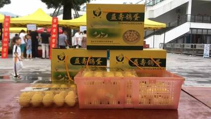 臺(tái)州青年農(nóng)創(chuàng)市集圓滿收官，青春創(chuàng)意與鄉(xiāng)土風(fēng)味碰撞出別樣火花